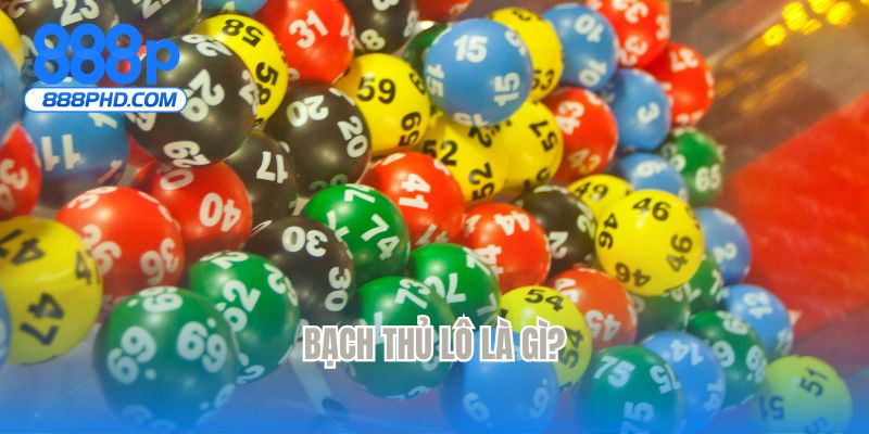 Bạch thủ lô là gì