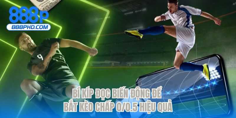 Bí kíp đọc biến động để bắt kèo chấp 0/0.5 hiệu quả