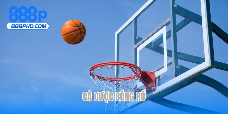 Cá cược bóng rổ