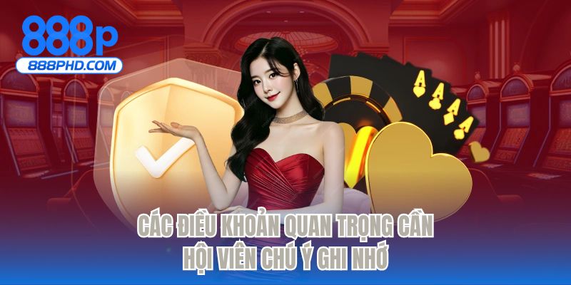 Các điều khoản quan trọng cần hội viên chú ý ghi nhớ