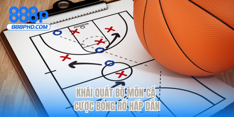 Khái quát bộ môn cá cược bóng rổ hấp dẫn